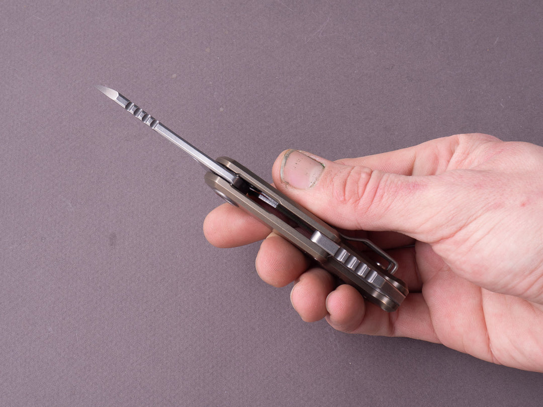 P1010841-3_1080x.jpg?v=1701645273