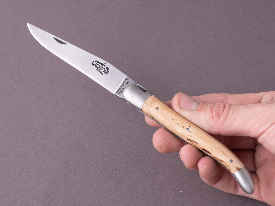 P1012104-2_1080x.jpg?v=1690407248