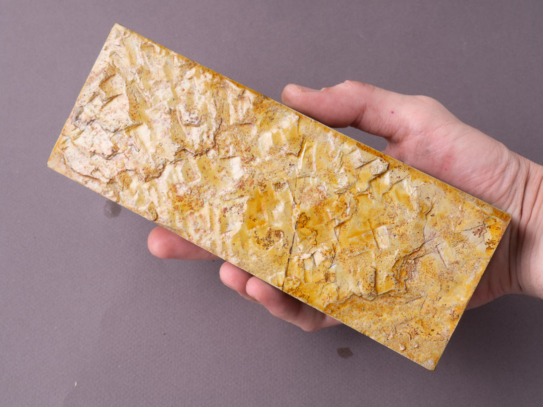 P1012286_218c5bb5-1c23-4353-