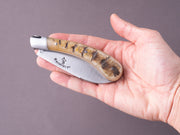 Fontenille-Pataud - Folding Knife - Le Chamois - Spring Lock - 90mm - Ram Horn Handle