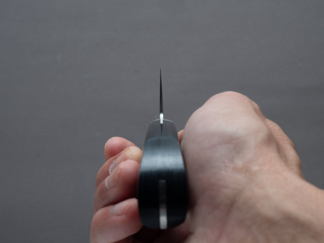 PM1010107_1080x.jpg?v=1718481195