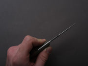 lionSTEEL - Fixed Blade - H2 - M390 - 75mm - Green Micarda - Kydex Sheath