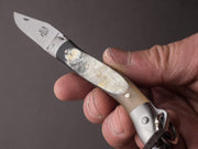 Forge de Laguiole - 11cm Folding Knife - Spring Lock - Raw Aubrac Horn Tip
