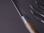Goyon-Chazeau - Origines - Steak/Table Knives - Pistachio Wood Handle - Rustic Bolster - Set of 6